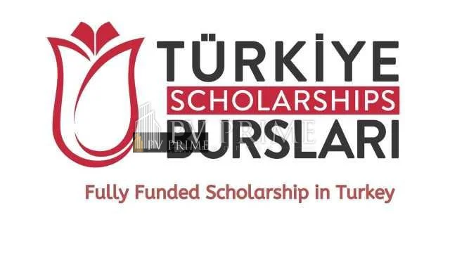 The Turkish Scholarships – Study in Turkey with No Fees!