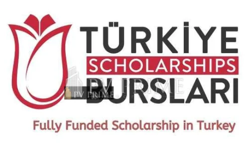 The Turkish Scholarships – Study in Turkey with No Fees!