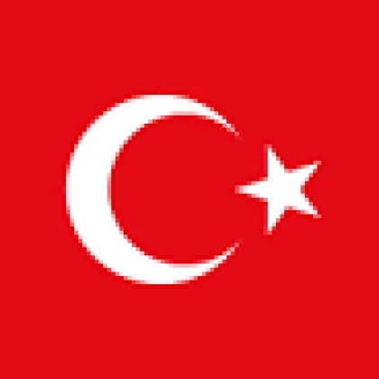 Turkey City